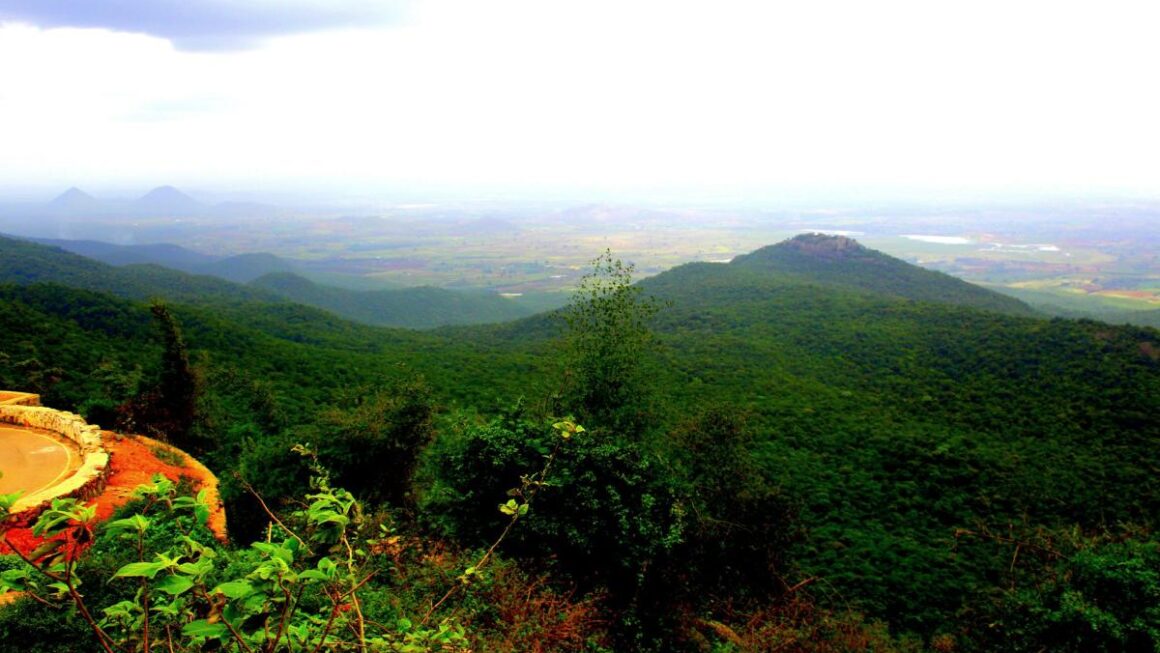 ಆದಿನಾರಾಯಣಸ್ವಾಮಿ ಬೆಟ್ಟ ಜೈವಿಕ ಪಾರಂಪರಿಕ ತಾಣ