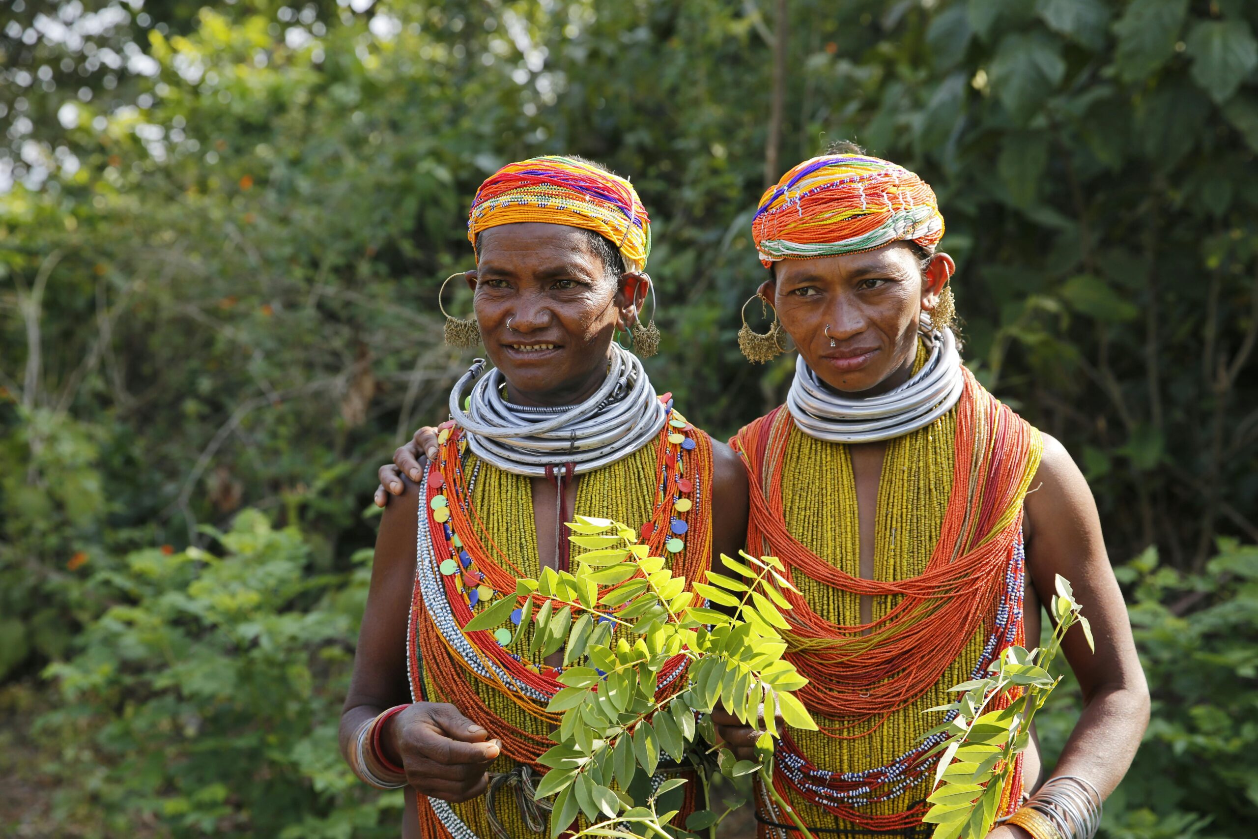 ಸಂರಕ್ಷಣೆ ಕಾಯಿದೆಗಳು ನಿಶ್ಶಕ್ತ : ಭ್ರಷ್ಟಾಚಾರ, ಉದ್ಯಮಕ್ಕೆ ಕಾಡುಗಳ ಬಲಿ