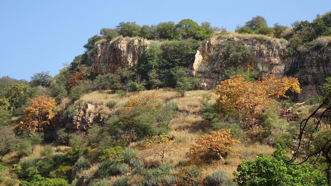 ಅರಾವಳಿ ಪರ್ವತಶ್ರೇಣಿ ಮೇಲೆ ಉದ್ಯಮದ ಕಾಕದೃಷ್ಟಿ
